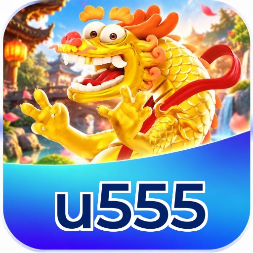 u555 Payment Speed
