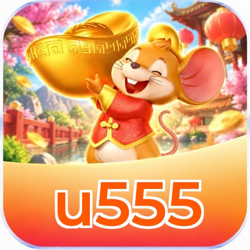 u555 Interface